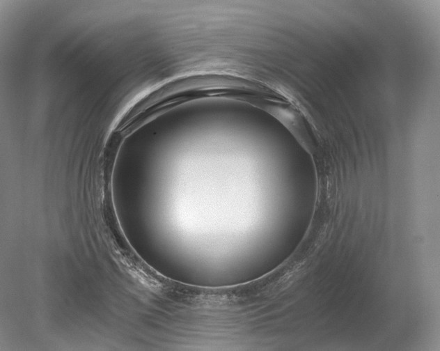 X0000078281069200611101127