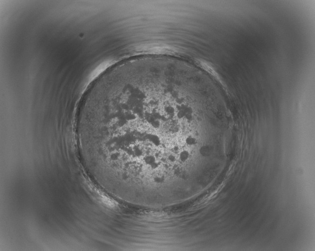 X0000078281071200611101127