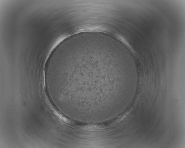 X0000078281079200611101127