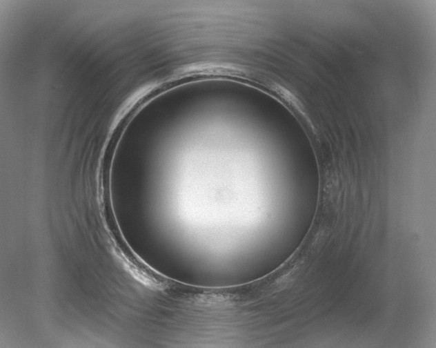 X0000078281082200611101127