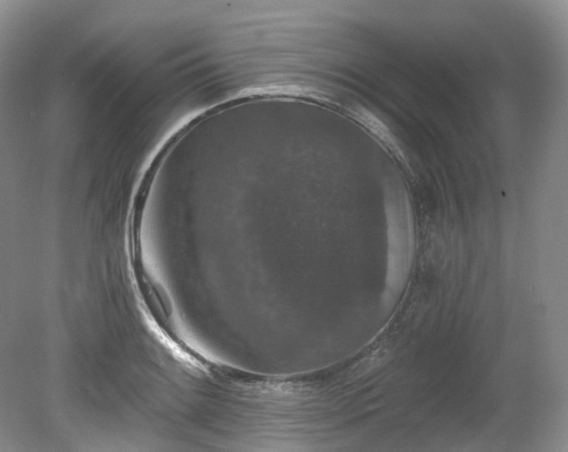 X0000078281084200611101127