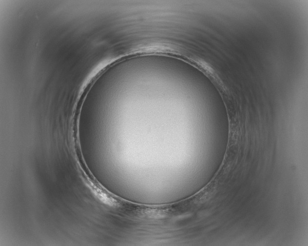 X0000078281086200611101127