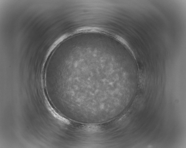 X0000078281090200611101127