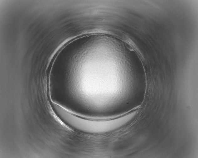 X0000078281092200611101127