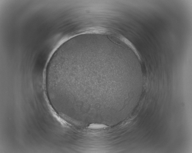 X0000078281099200611101127