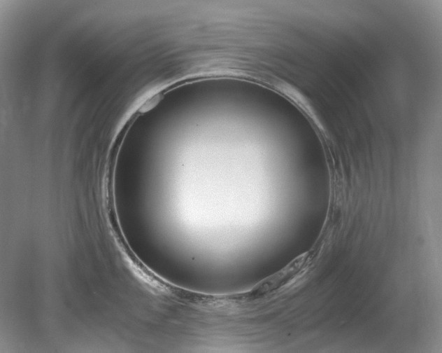 X0000078281101200611101127