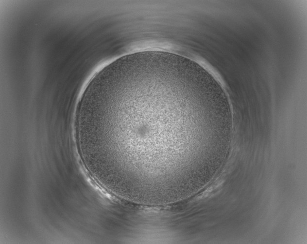 X0000078281104200611101127