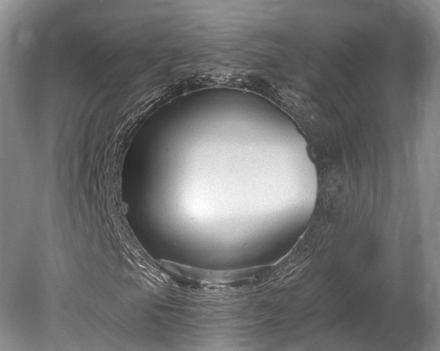 X0000078281105200611101126