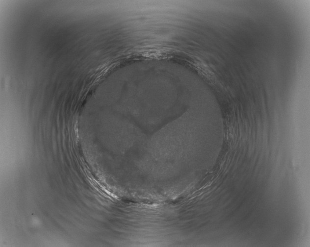 X0000078281106200611101126