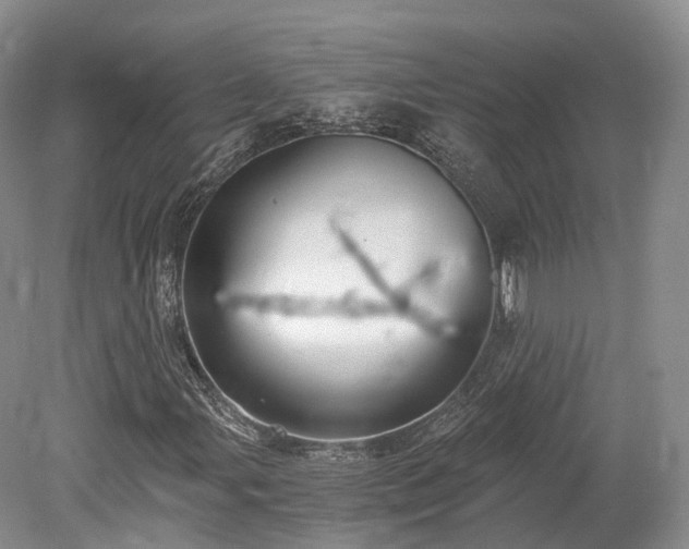 X0000078281107200611101126