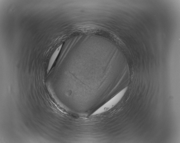 X0000078281108200611101126