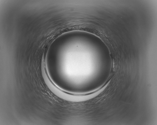 X0000078281109200611101126