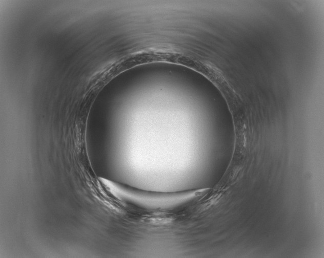 X0000078281110200611101126