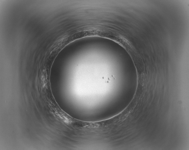 X0000078281111200611101126