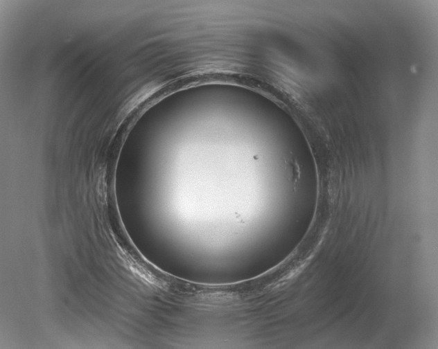 X0000078281113200611101126