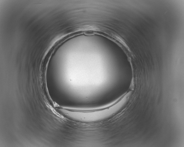 X0000078281116200611101126