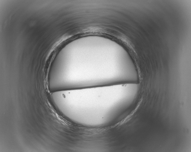 X0000078281117200611101126