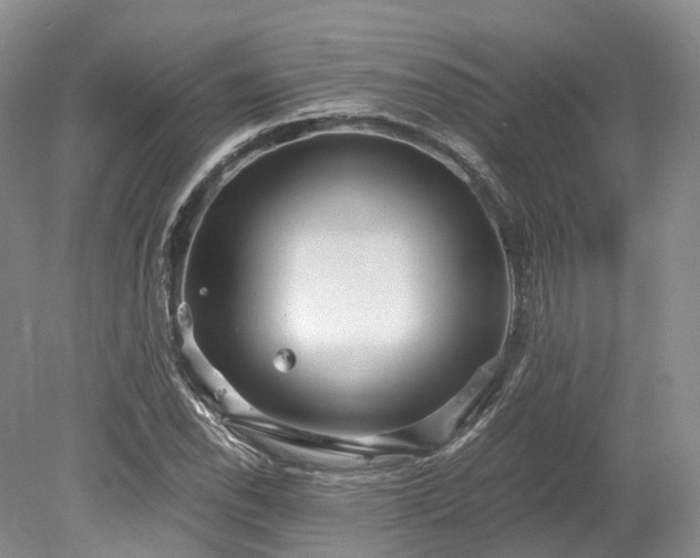 X0000078281118200611101126