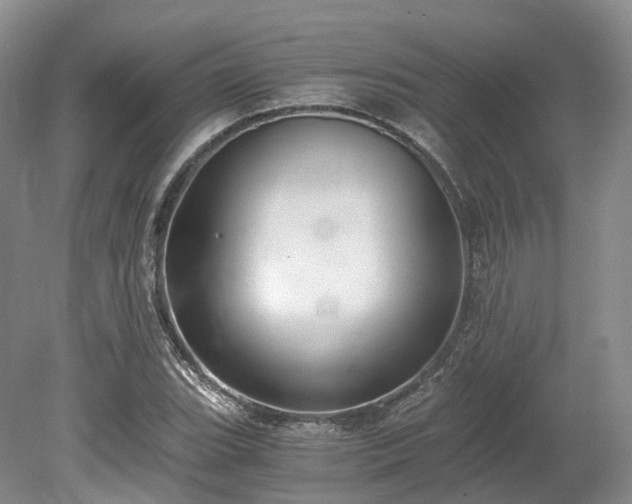 X0000078281119200611101126