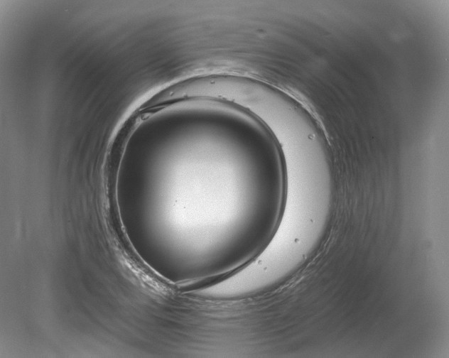 X0000078281120200611101126