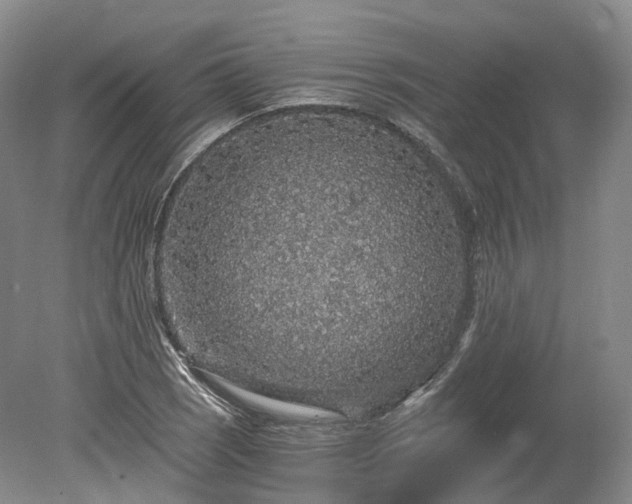 X0000078281121200611101126