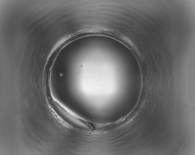 X0000078281122200611101126