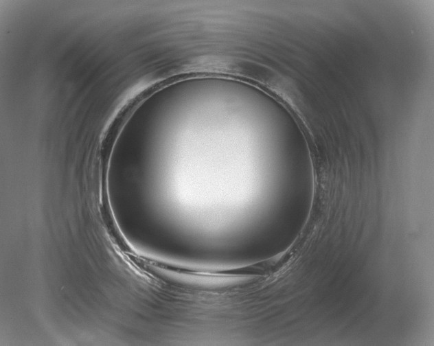 X0000078281123200611101126