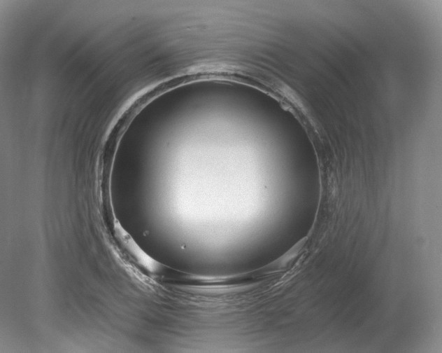 X0000078281124200611101126