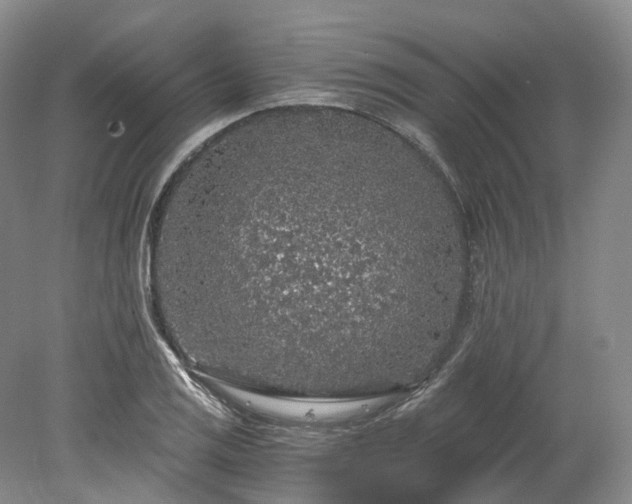 X0000078281125200611101126