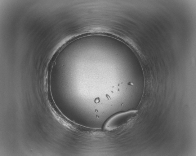 X0000078281126200611101126