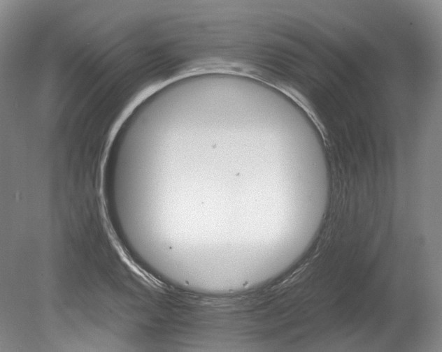 X0000078281128200611101126