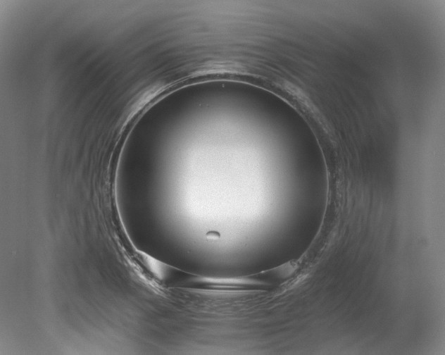 X0000078281129200611101126