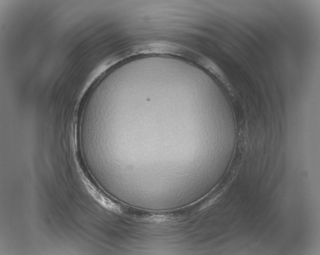 X0000078281130200611101126