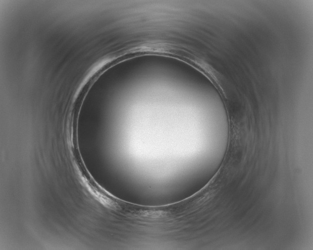 X0000078281131200611101126