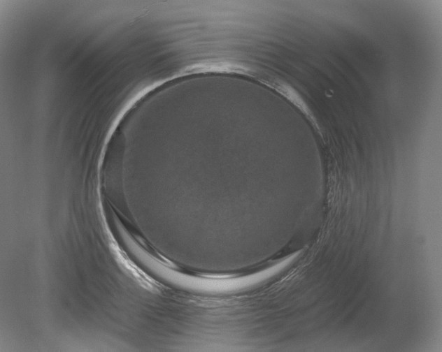 X0000078281132200611101126