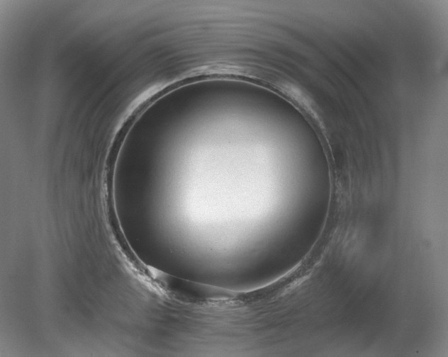 X0000078281133200611101127