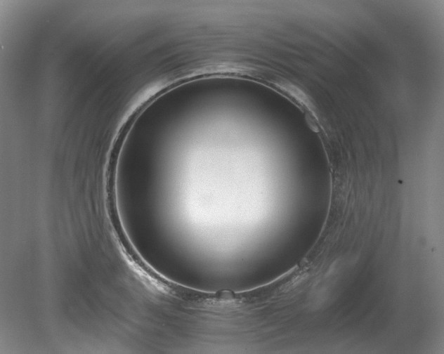 X0000078281135200611101127