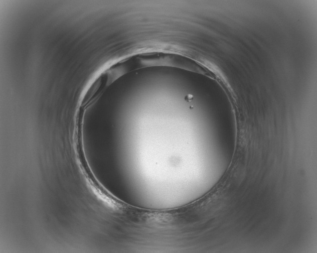 X0000078281136200611101127