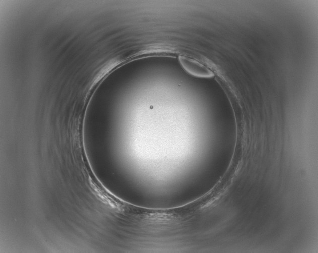 X0000078281137200611101127