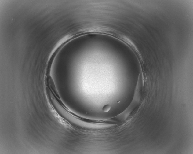 X0000078281138200611101127