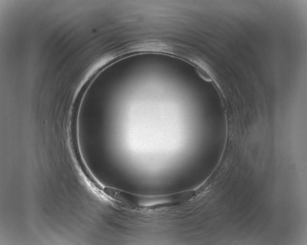 X0000078281139200611101127