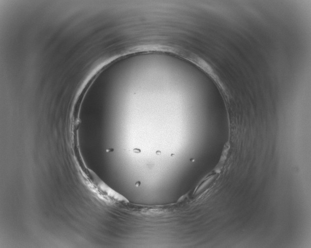 X0000078281140200611101127