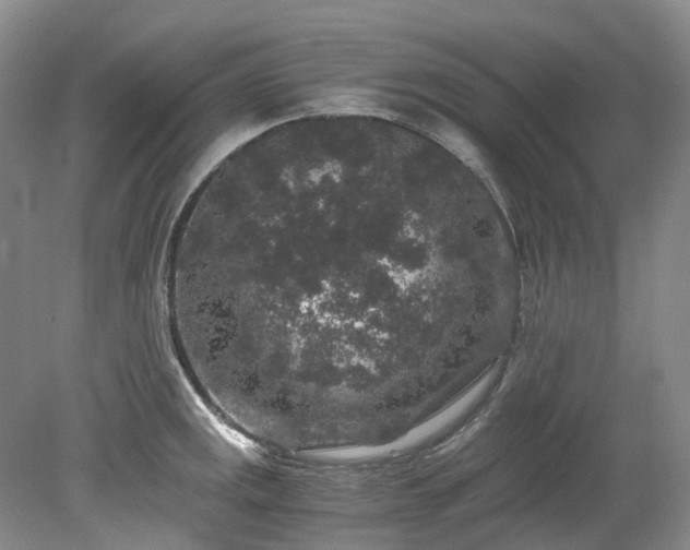 X0000078281141200611101127