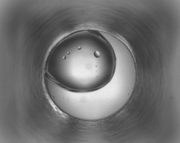 X0000078281144200611101127