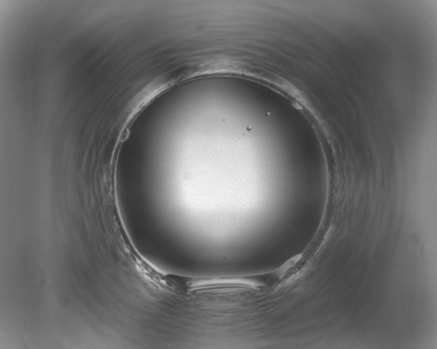 X0000078281145200611101127