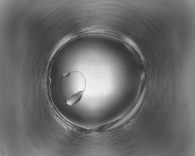 X0000078281146200611101127