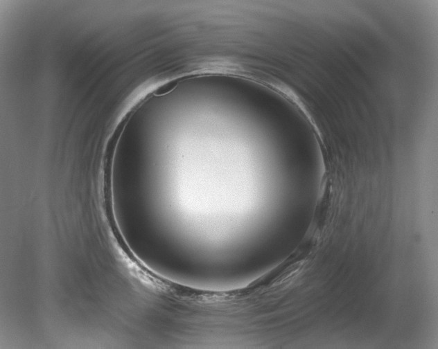 X0000078281147200611101127