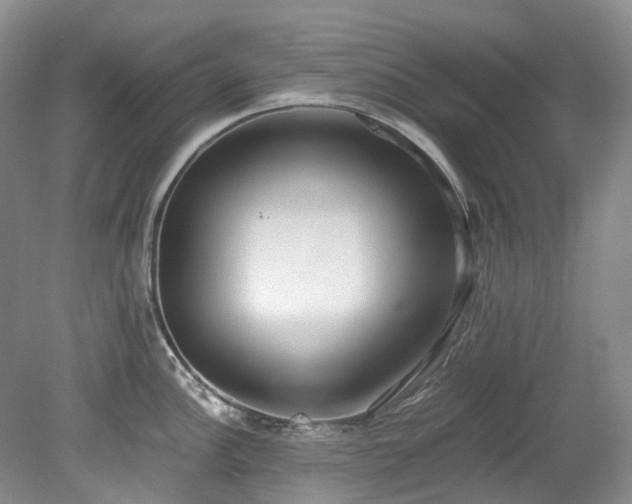 X0000078281148200611101127