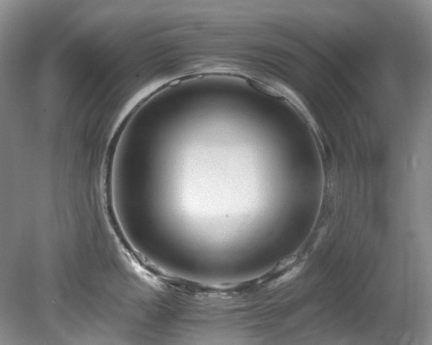 X0000078281149200611101127