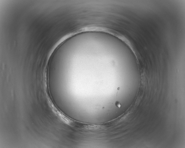 X0000078281150200611101127